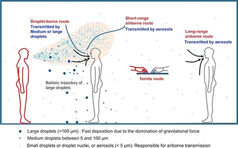 How is SARS-CoV-2 transmitted? - Mass General Advances in Motion