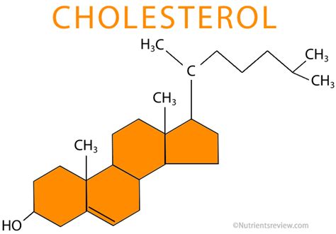 Cholesterol Functions, Foods High/Low, Charts: LDL, HDL, Total