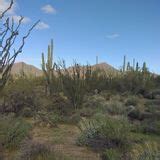 Pass Mountain Trail, Arizona - 4,505 Reviews, Map | AllTrails