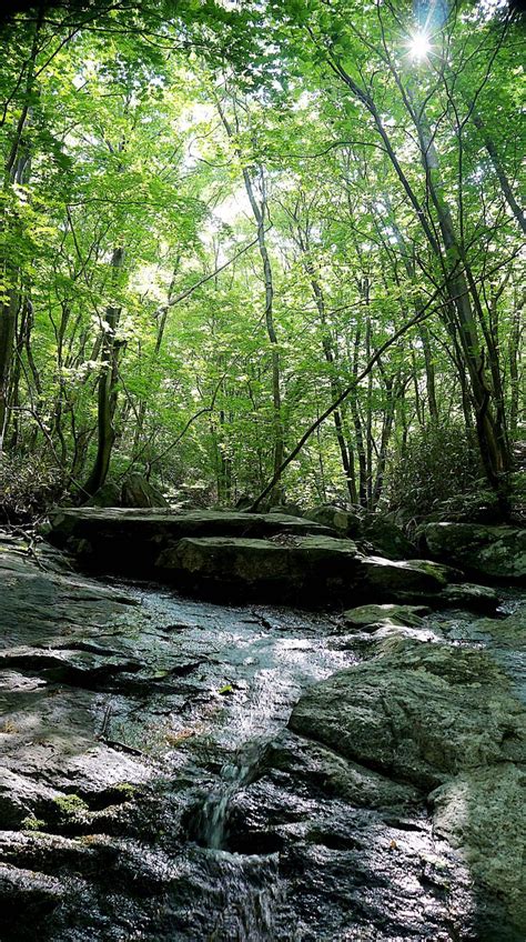 Jirisan National Park – South Korea… | National parks, Park south ...