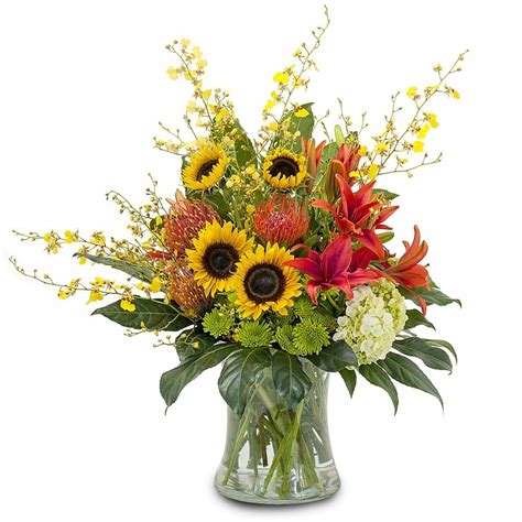 12 Best Florists for Flower Delivery in Miami - Petal Republic