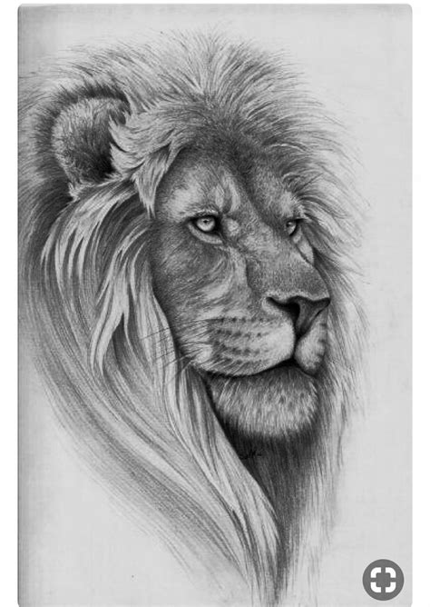 Lion Head Tattoos, Leo Tattoos, Animal Tattoos, Animal Drawings, Pencil Drawings, Art Drawings ...