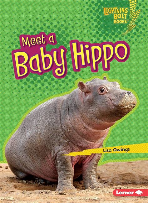 Meet a Baby Hippo (Lightning Bolt Books ® ― Baby African Animals ...