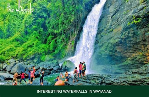 Top 5 Interesting Waterfalls in Wayanad