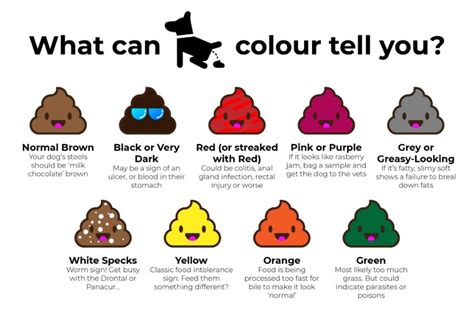 Color Of Your Poop Chart