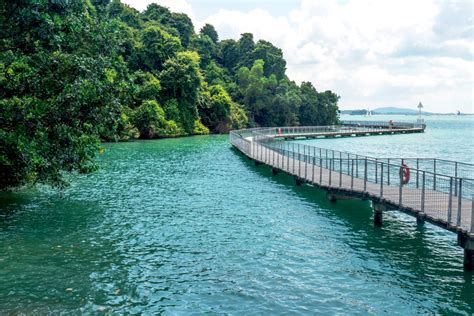 Chek Jawa Wetlands auf Pulau Ubin - [GEO]