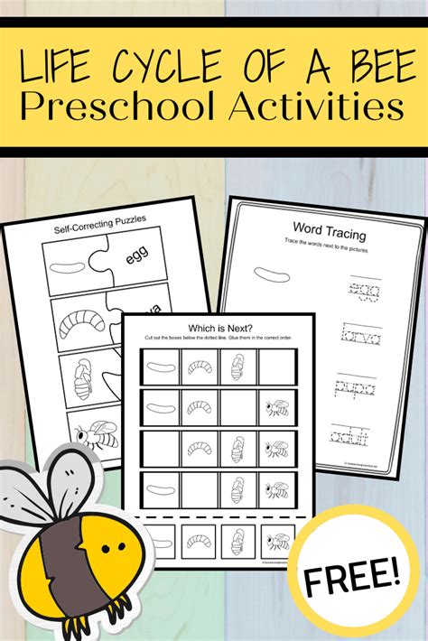 Here are your life cycle of a bee for kids worksheets! - Homeschool ...