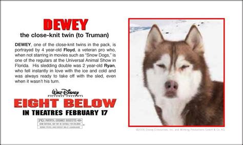 snow dogs movie dog names - Dalton Porterfield