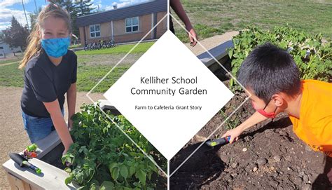 Kelliher School Community Garden - Farm to Cafeteria Canada