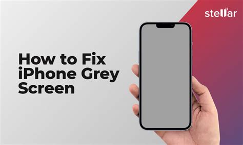 How to Fix iPhone Grey Screen | Stellar