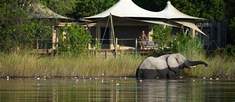 Wilderness Safaris - Book A Private Charter - PJS Group