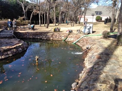 4 Tips for Small Pond Cleaning by Anthony Dulio at American Underwater Services