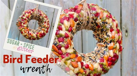 Bird Feeder Wreath – starkidslearn.com