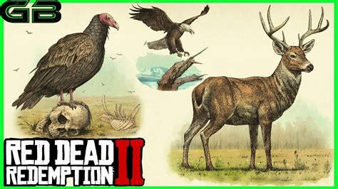 Red Dead Redemption 2 - Animal Artwork - YouTube