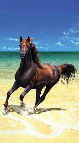 Horse Running on the Beach | Fotos de caballos hermosos, Fotos de ...