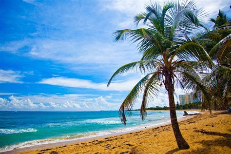 beach, Puerto Rico Wallpapers HD / Desktop and Mobile Backgrounds