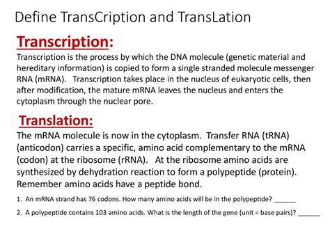 Transcription And Translation