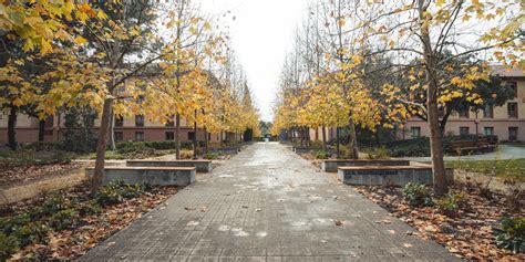 Seasons & Weather | Stanford LBRE Facilities Operations