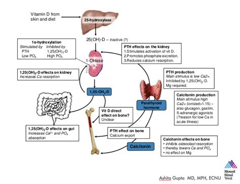 How Does Vitamin D Affect Calcium