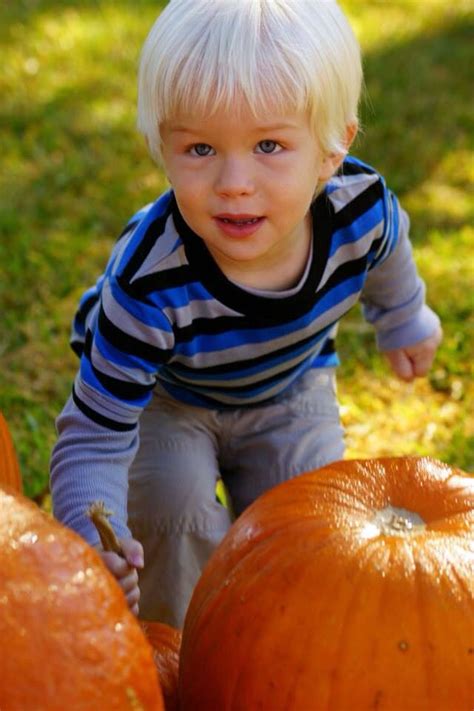 Pumpkin boy Pumpkins, Fall Colors, Boys, Pumpkin, Squash, Senior Boys, Sons, Guys