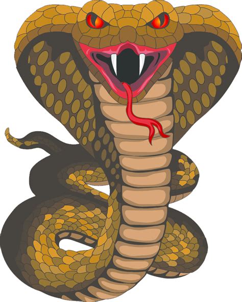 Cobra PNG transparent image download, size: 746x932px