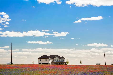 Texas State Bluebonnet City | Ennis, TX