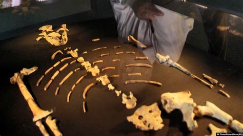 Researchers Remember Discovery of Lucy Skeleton