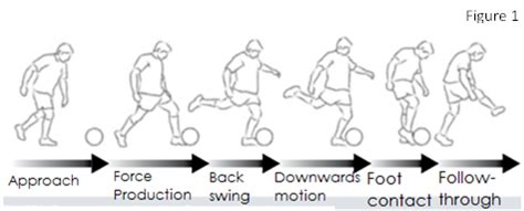 Ms. Oshiro's Class: Soccer Techniques