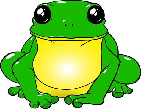 Kikker Toad Green - Gratis afbeelding op Pixabay