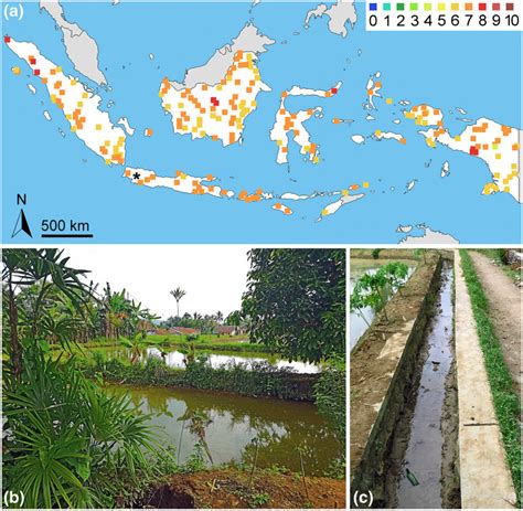 (a) Climate match map of Indonesia showing colour-coded regions with ...