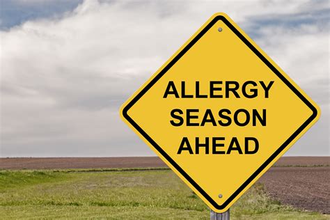 ALLERGY SEASON – El-Mawan Medical Center