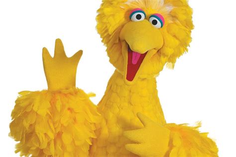 New Study Reveals Watching ‘Sesame Street’ Can Actually Help Your Kids Succeed | Big bird sesame ...