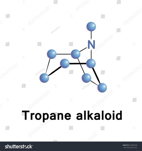 349 Tropane alkaloids Images, Stock Photos & Vectors | Shutterstock