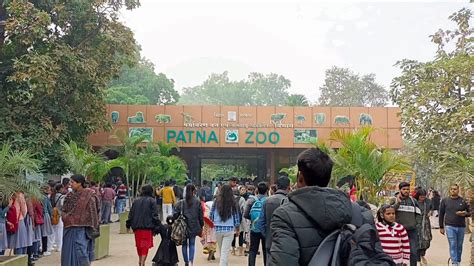 Patna Zoo - YouTube