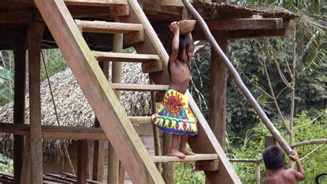 Embera Village, Panama - February Stock Footage Video (100% Royalty-free) 8607196 | Shutterstock