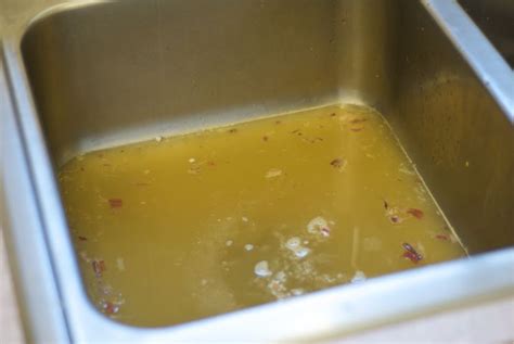 gross grease clogged kitchen sink | Kitchen sink, Sink, Kitchen sink ...