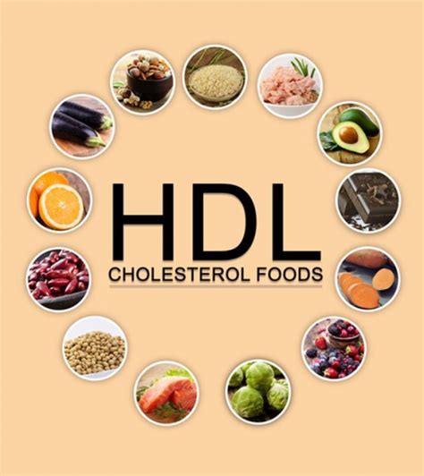 Healthy Food | Cholesterol foods, High cholesterol diet, Hdl cholesterol