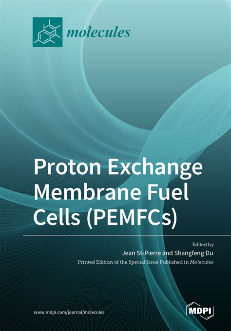 Proton Exchange Membrane Fuel Cells (PEMFCs) | MDPI Books