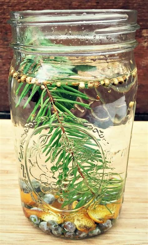 Homemade Infused Gin: Foraged Botanical Winter Spirits