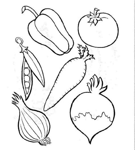 Different Types of Vegetables Coloring Page | Vegetable coloring pages, Fruit coloring pages ...