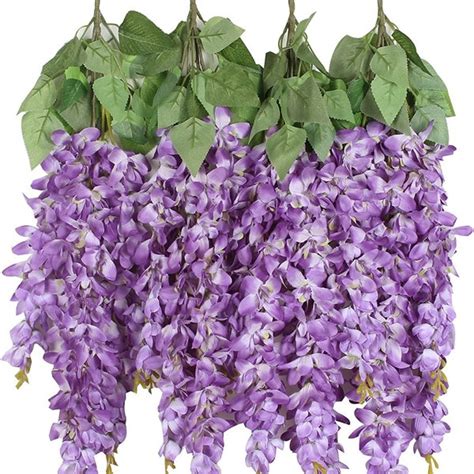 Wisteria Vine - Etsy