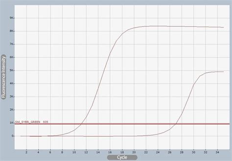 How to identify the product of RPA (Recombinase polymerase ...