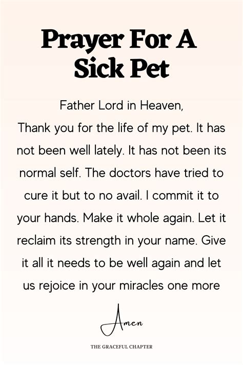 8 Beautiful Prayers For Pets - The Graceful Chapter