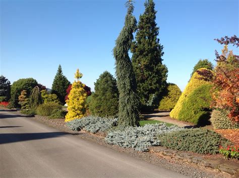 from our visit to Iseli Nursery, Growers in Oregon | Растения, Оранжерея