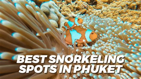 Best Snorkeling Spots In Phuket Thailand - YouTube