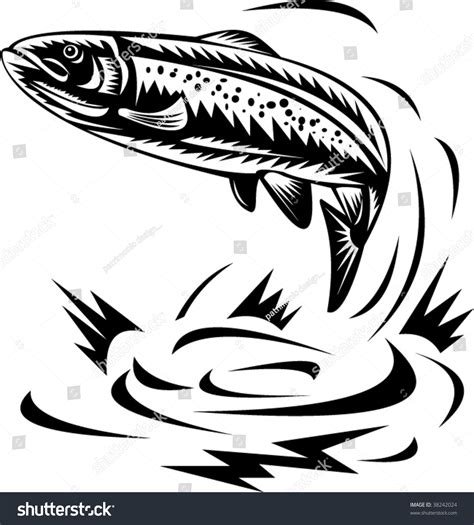 Spotted Speckled Trout Jumping Stock Vector 38242024 - Shutterstock