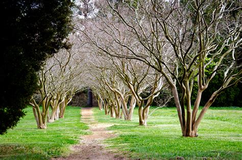 The Historic Berkeley Plantation on Behance