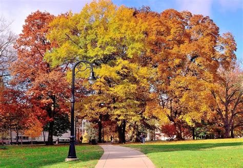 Penn State University on Instagram: “Happy first official day of fall ...