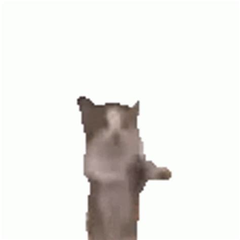 Cat Jump Sticker - Cat Jump Happy - Discover & Share GIFs | Happy cat ...