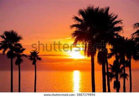 337 Anna Maria Island Sunset Images, Stock Photos & Vectors | Shutterstock